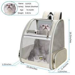 Texsens pet-backpack carrier ventilation mesh highlights breathable design for comfy sessions