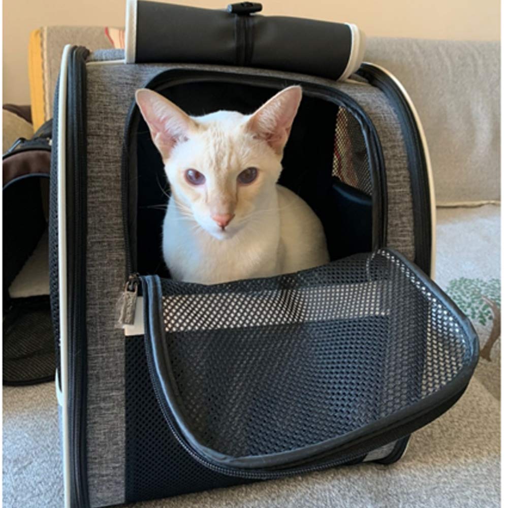 Texsens Pet Carrier Backpack removable mat cushions pets on trips