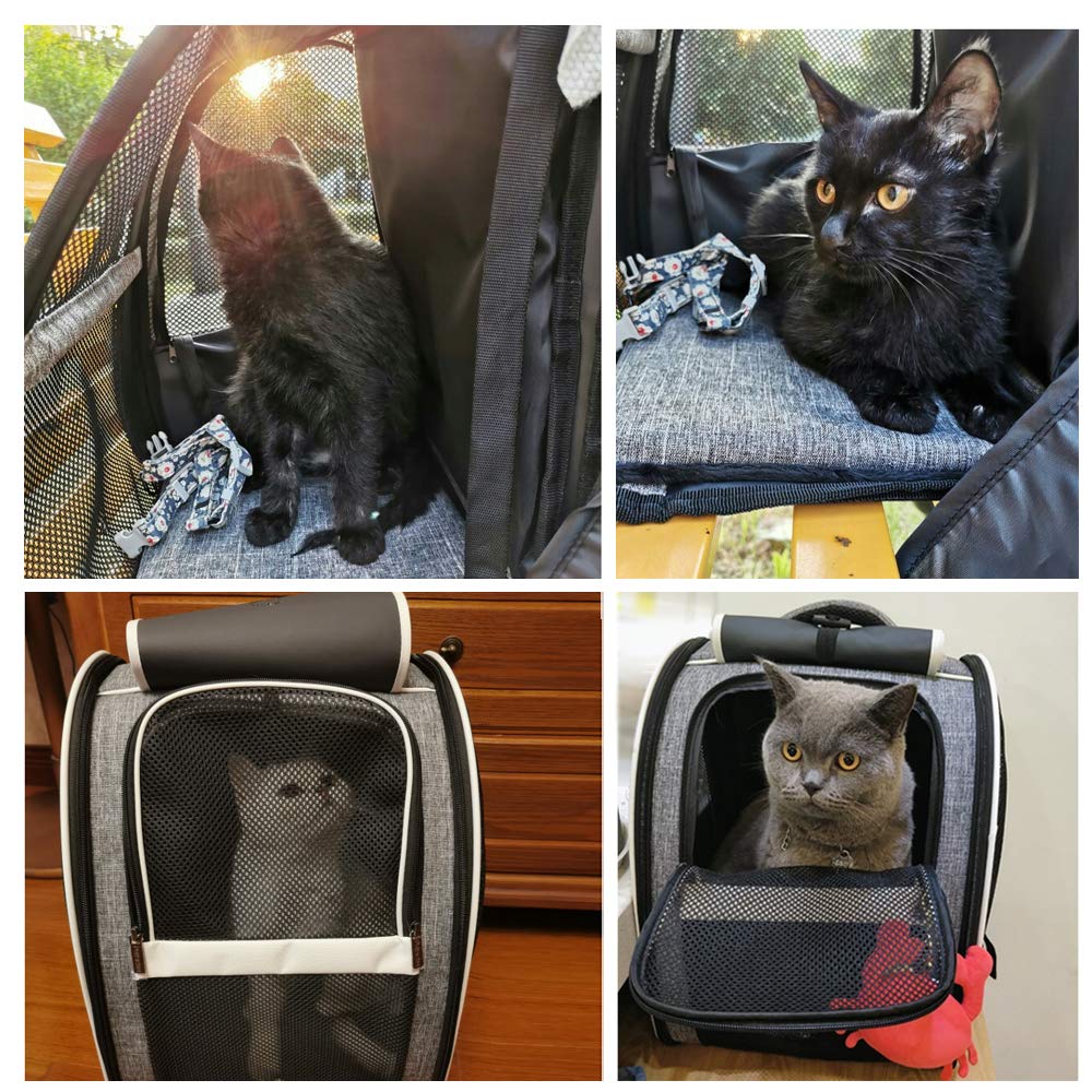 Texsens Pet Carrier Backpack scratch-resistant design for durable daily use