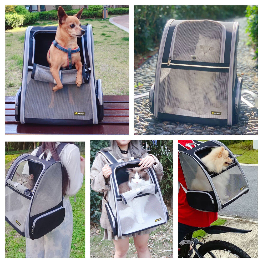 Texsens Traveler Bubble Backpack worn on back shows hands-free travel for owners