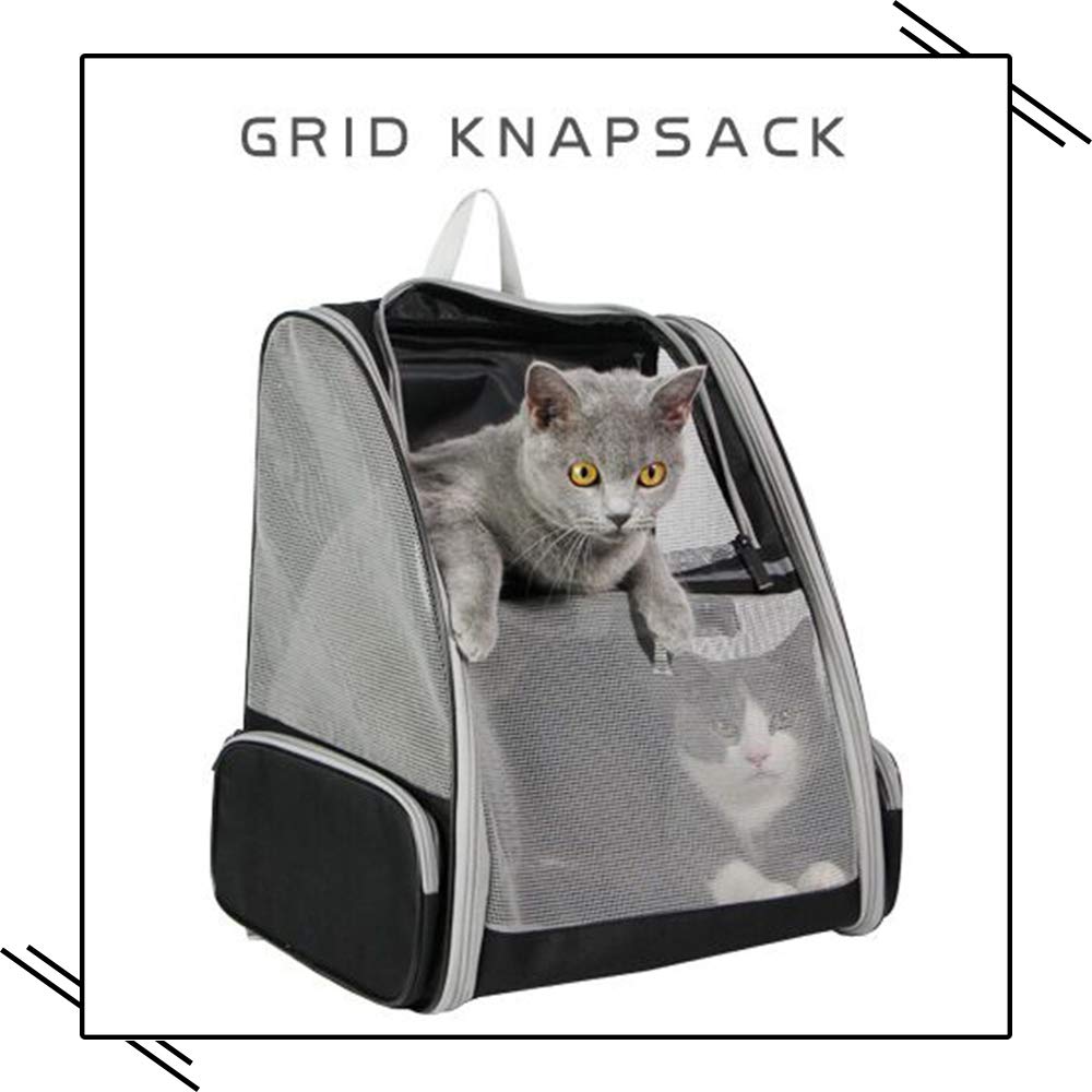 Texsens Traveler Bubble Backpack scratch-resistant build signals durability for trips