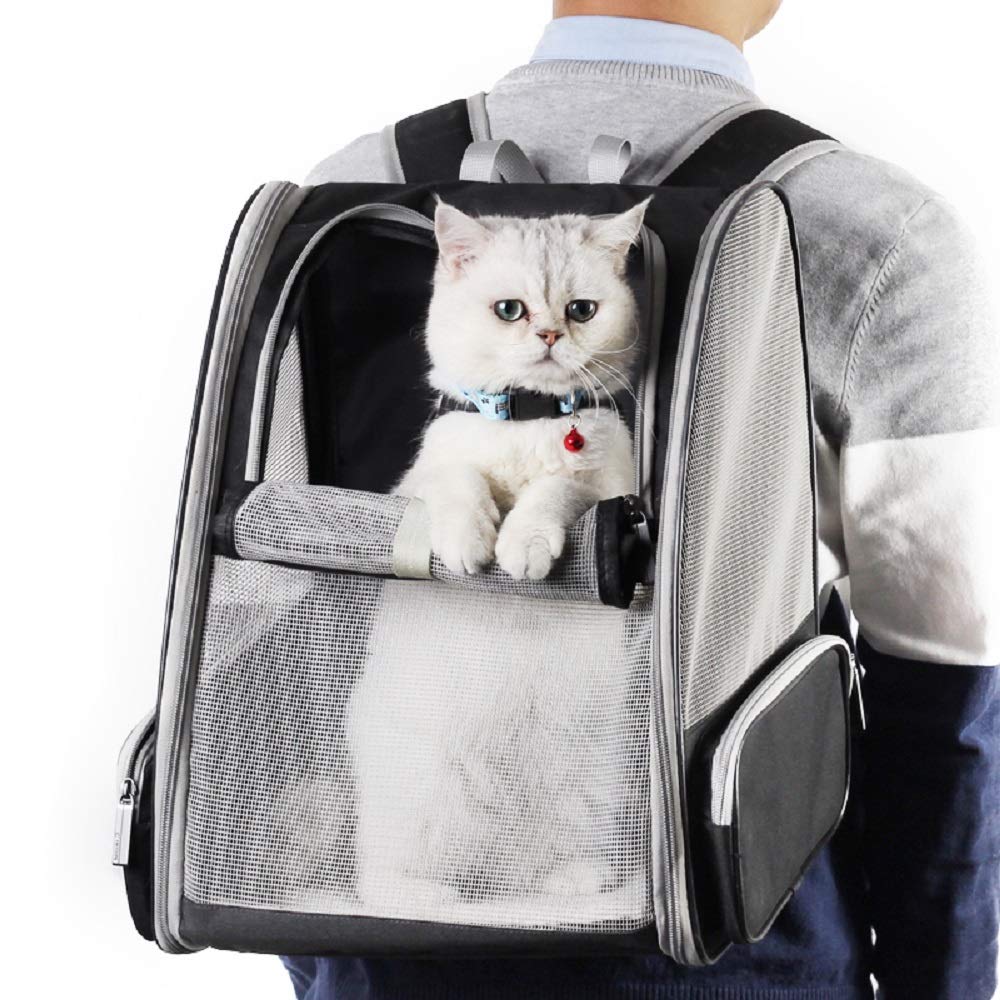 Texsens Traveler Bubble Backpack pet inside view highlights breathable space for outings