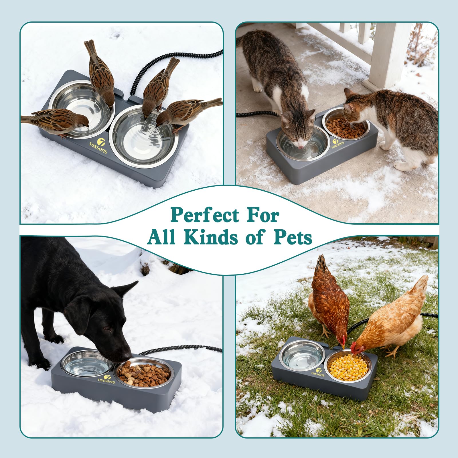Texsens winter feeding station placed in sheltered area supports outdoor pets.