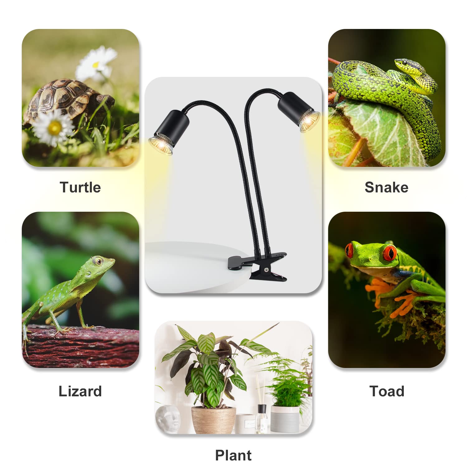 TFNN Reptile Heat Lamp package shows complete setup ready-to-use.