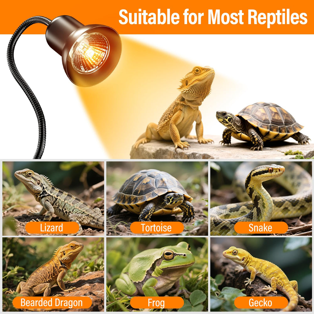 TFNN Reptile Heat Lamp supports turtles, bearded dragons, lizards and more.