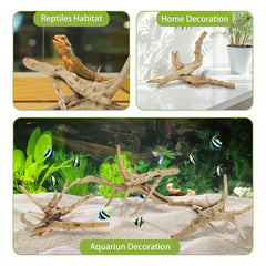 Tfwadmx aquarium driftwood natural branch enhances tank aesthetics and landscape.