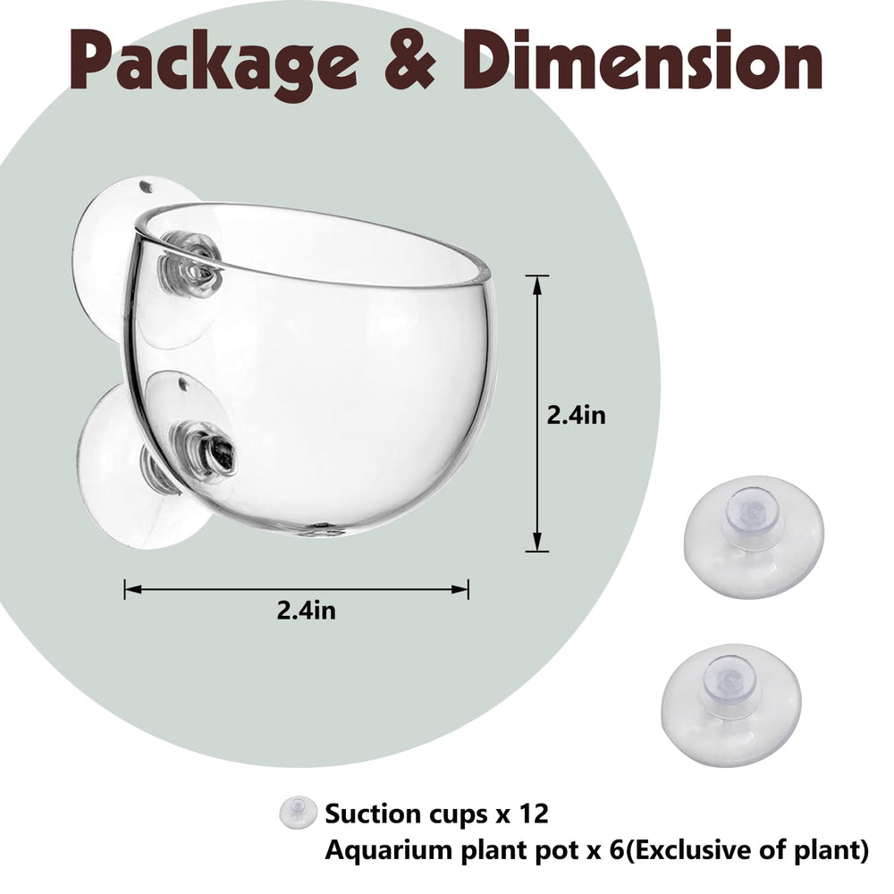 Tfwadmx tilted-opening plant cup adds natural feel and visual interest to your aquarium