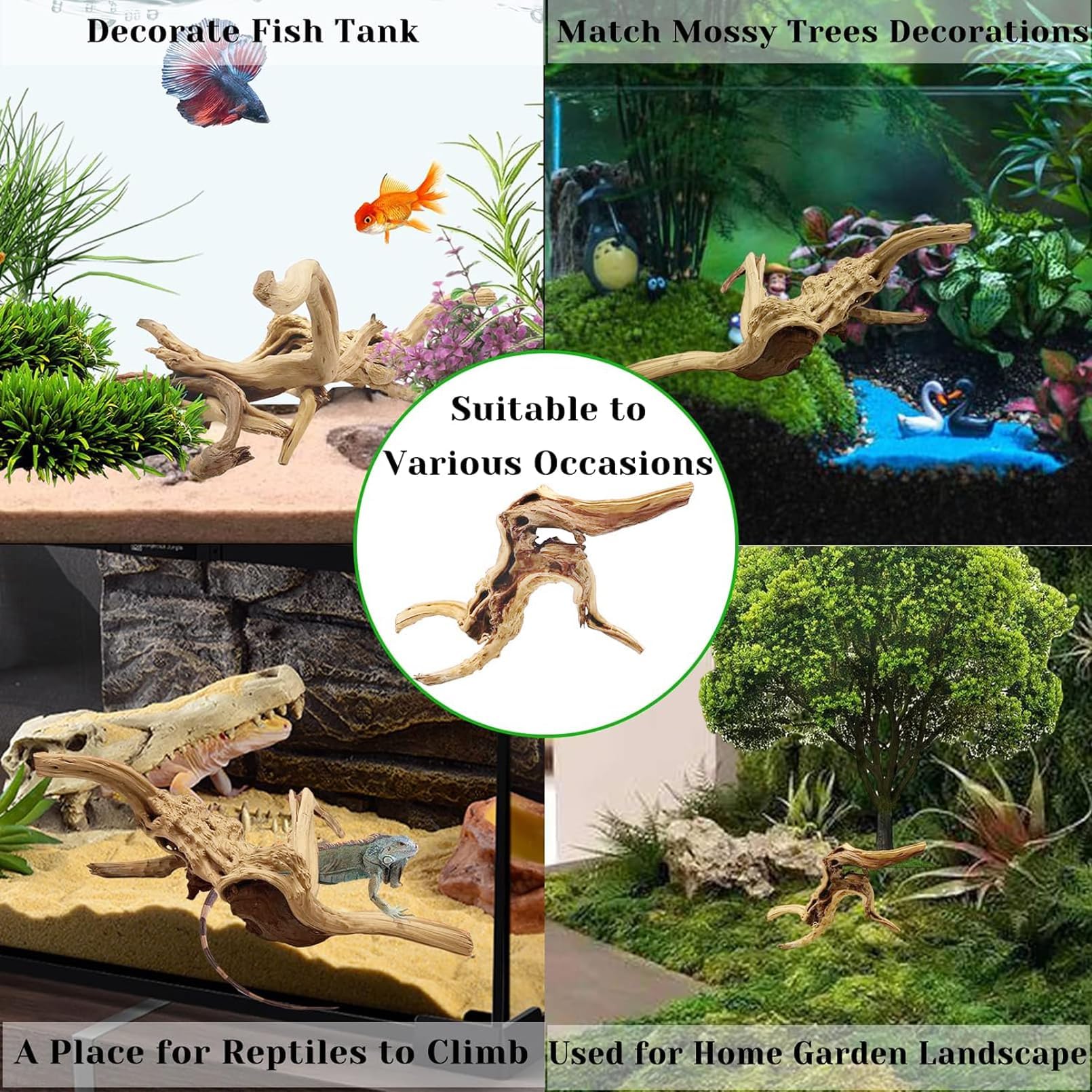 Tfwadmx aquarium spider wood setup for a natural habitat look.