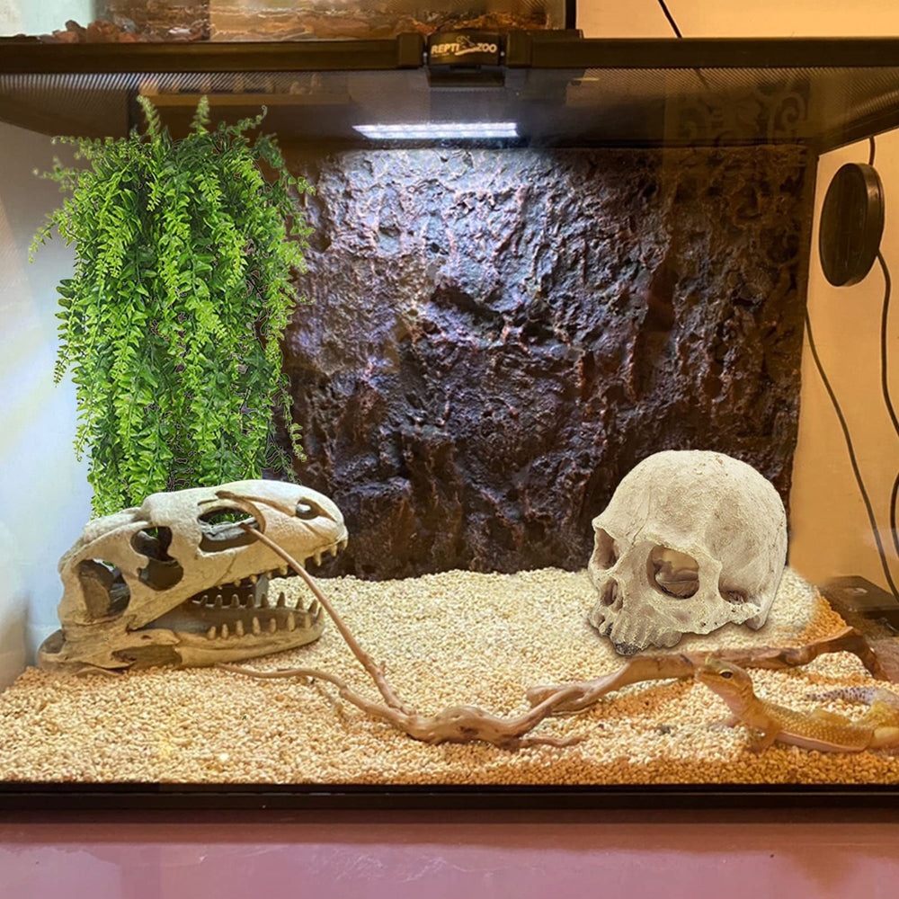 Tfwadmx bearded dragon habitat décor suits lizards, geckos, and snakes.