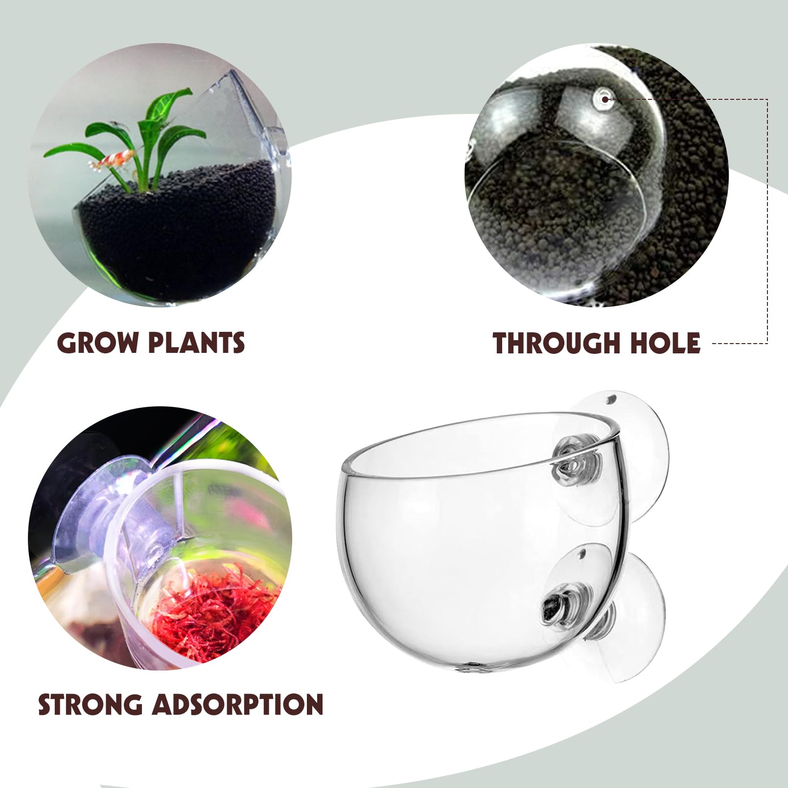 Tfwadmx clear-glass plant cup features permeable bottom to support water flow