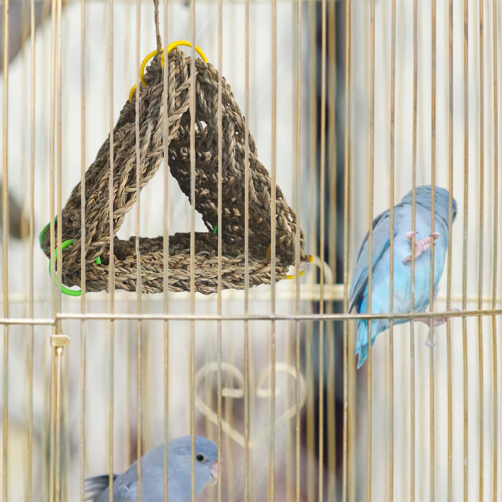 Tfwadmx diy bird toys showcases customizable seagrass play and enrichment