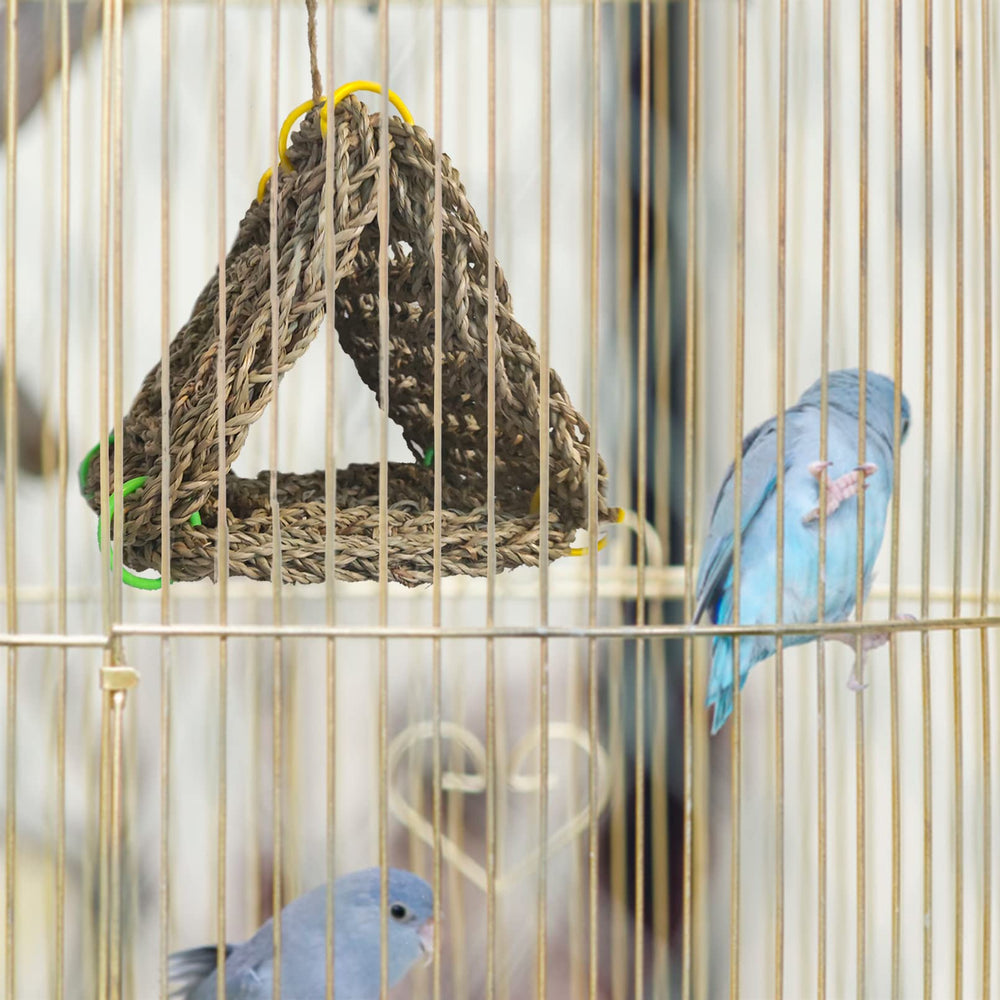 Tfwadmx diy bird toys showcases customizable seagrass play and enrichment
