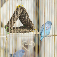 Tfwadmx diy bird toys showcases customizable seagrass play and enrichment
