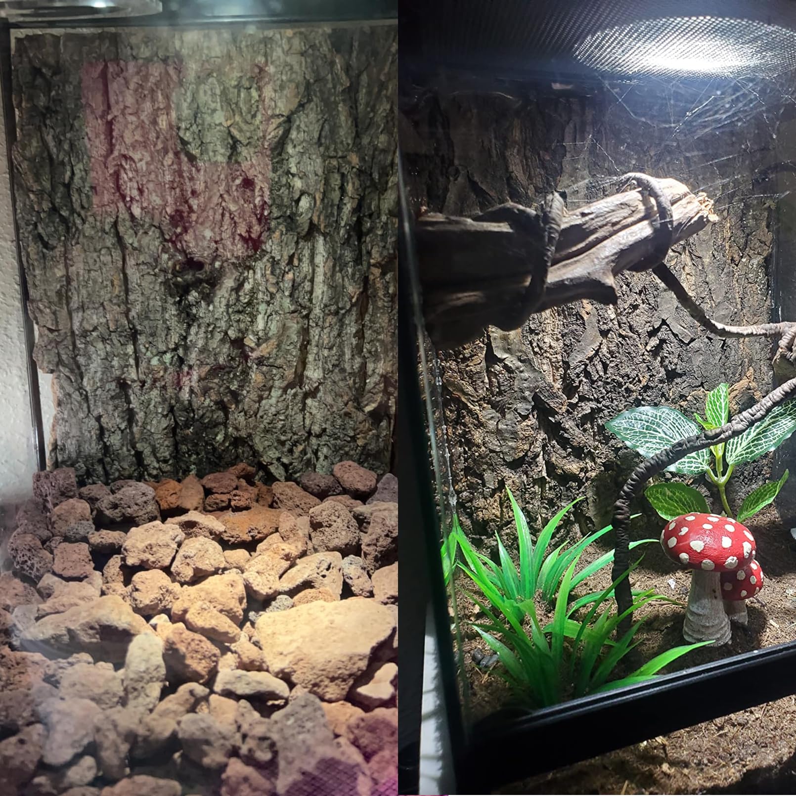 TFWADMX diy-terrarium-background-assembly helps simple setup and quick habitat enhancement.