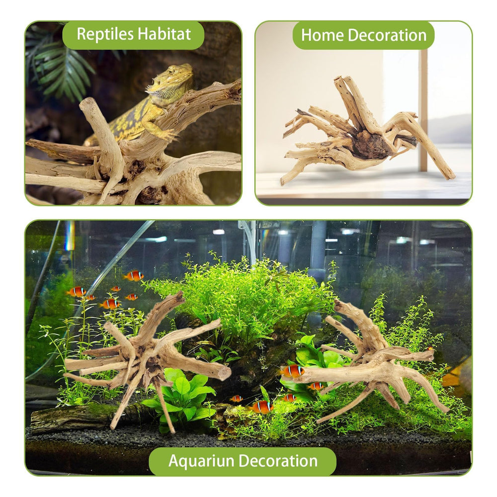 Tfwadmx driftwood 11-13in adds rustic texture and natural appeal to terrariums.