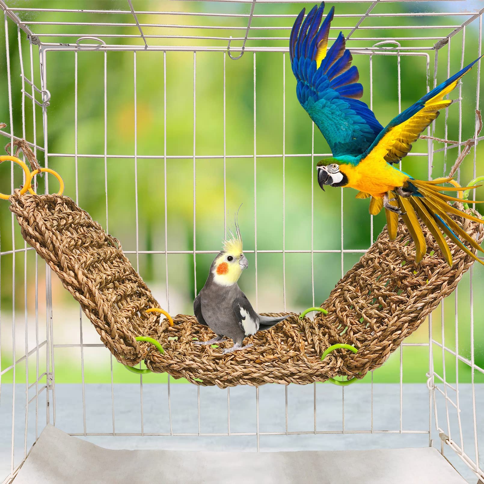 Tfwadmx hanging bird toy in cage shows easy installation for playtime