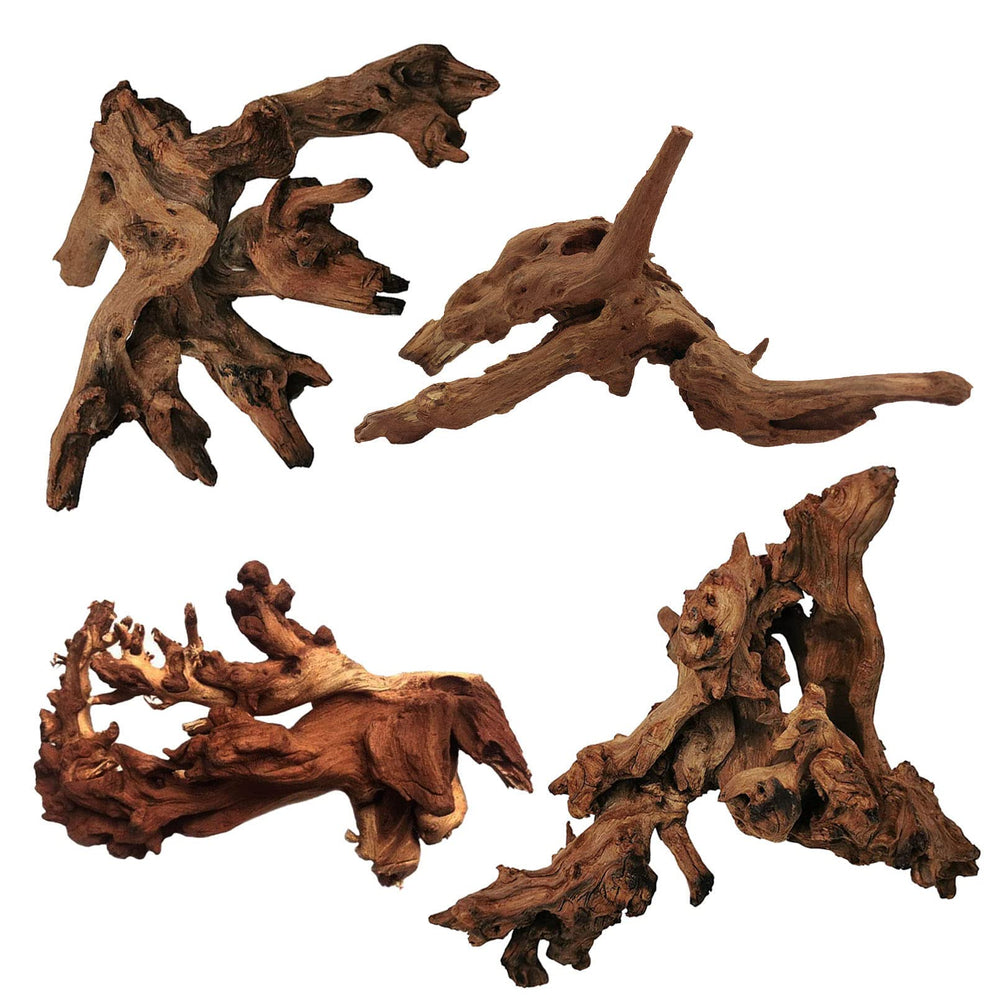 Tfwadmx natural driftwood collection shows unique shapes for aquascaping and hiding spots