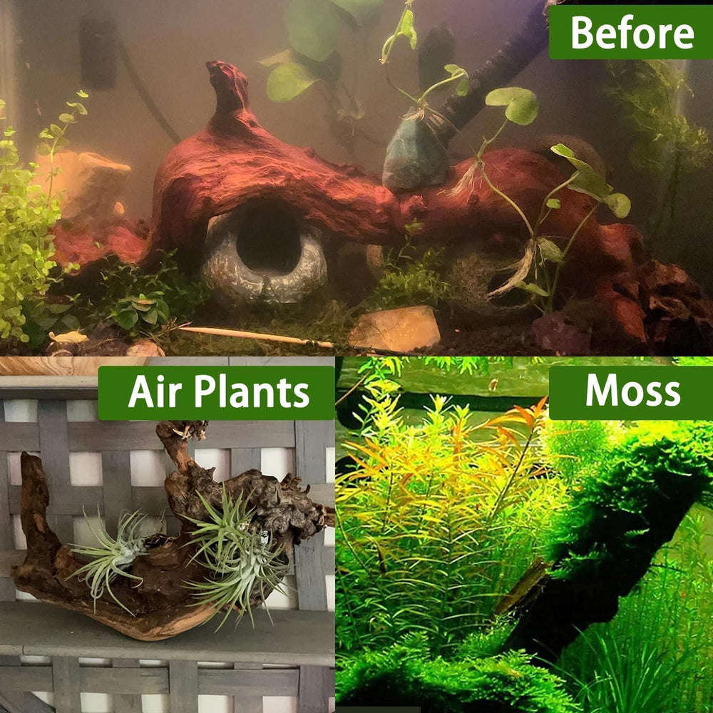 Tfwadmx natural driftwood texture enhances rustic terrarium aesthetics.