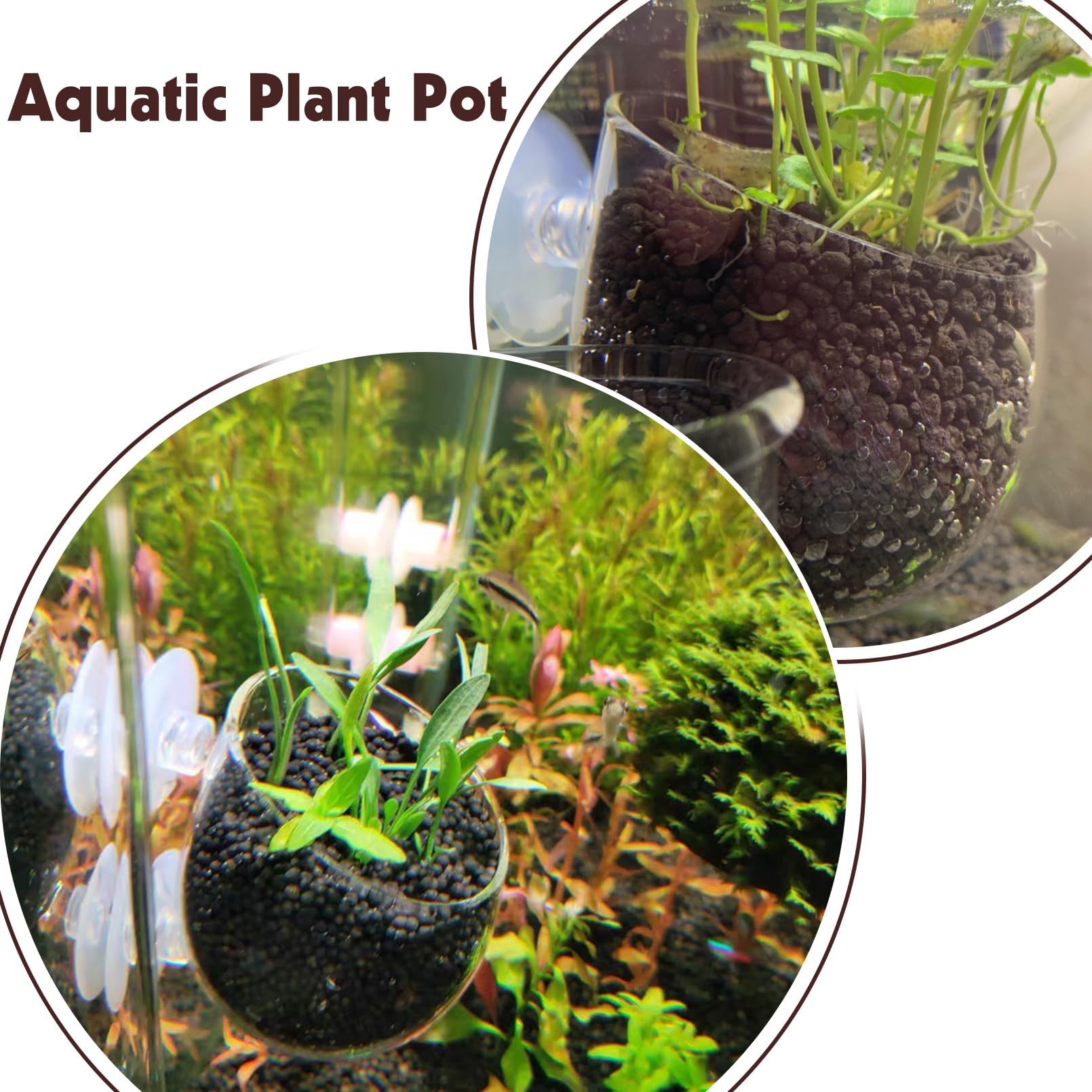 Tfwadmx natural-feel decor encourages exploration and provides a hiding habitat for fish