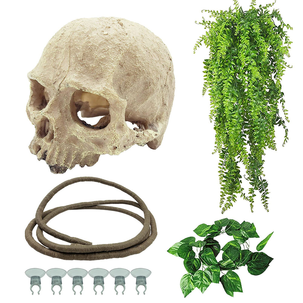 Tfwadmx reptiles skull hide ornament creates natural shelter for small reptiles.