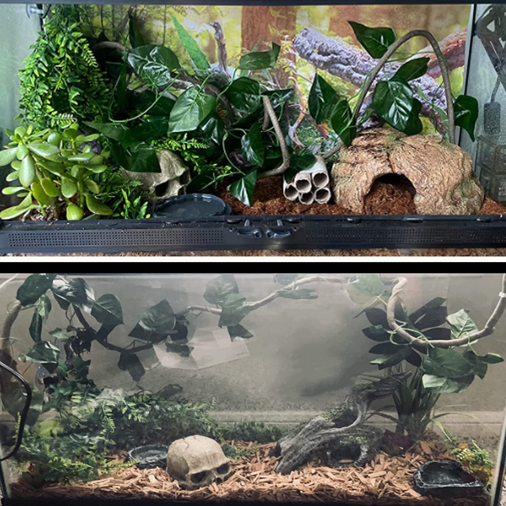 Tfwadmx skull hide decorations pack supports multiple species in enclosures.