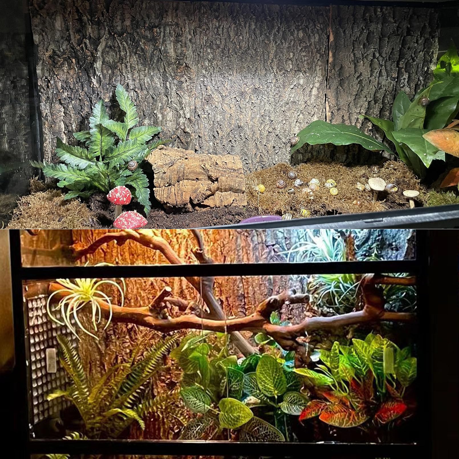 TFWADMX tank-decor-cork-bark-natural-habitat offers versatile decor for many reptile species.