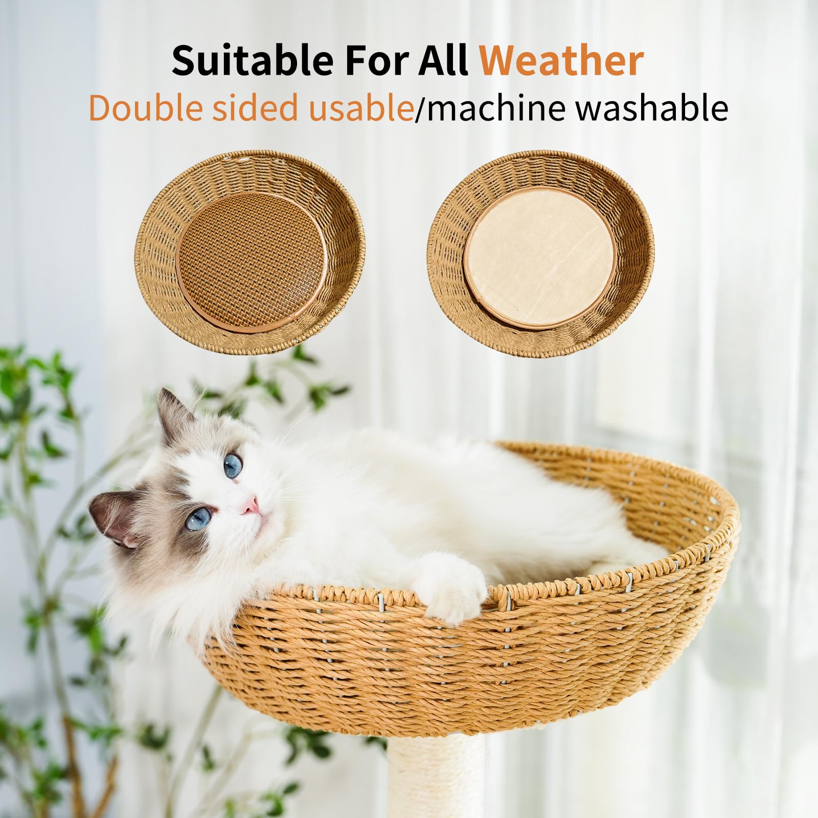 TGMVI heavy-duty base ensures stability for large multi-cat households
