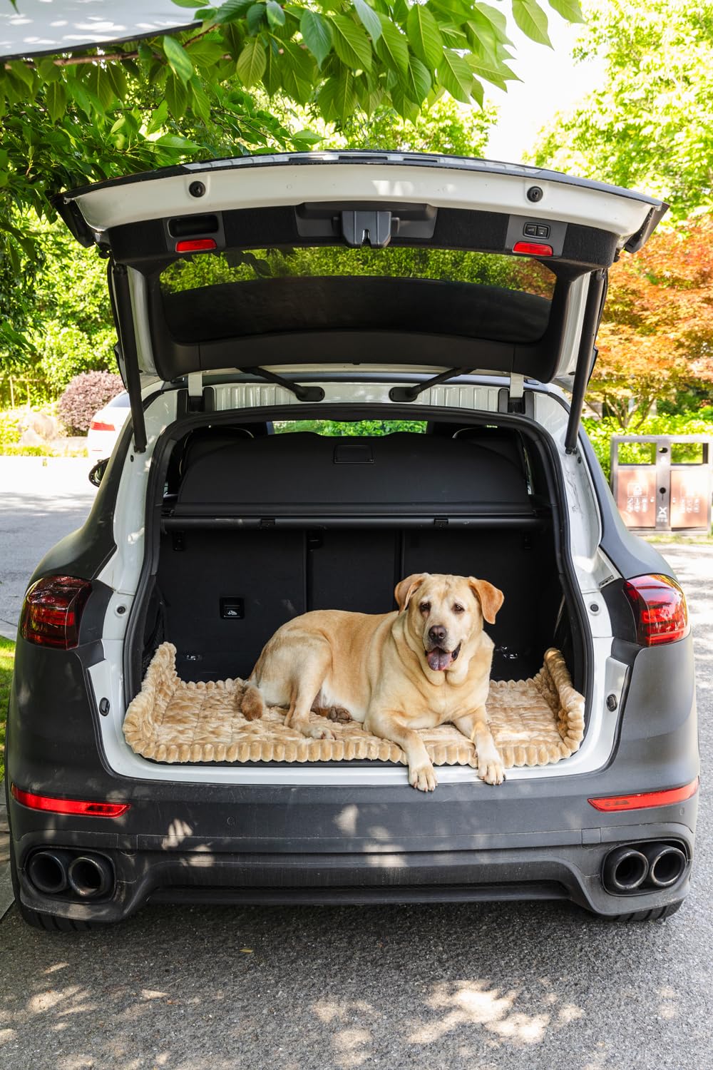 TGODGPY machine-washable pet cover simplifies cleaning after messy trips.