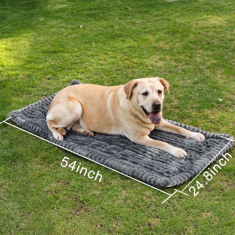 TGODGPY non-slip dog bed mat plush soft texture enhances pet comfort.