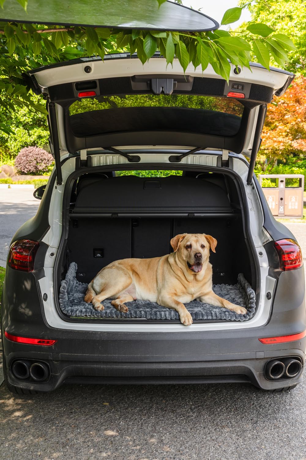 TGODGPY non-slip dog bed mat washable fabric ready for easy cleaning.