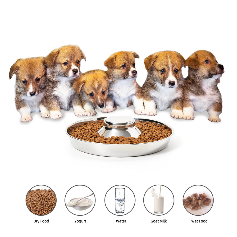 Thankspaw dishwasher-safe bowls stay looking new after washing.