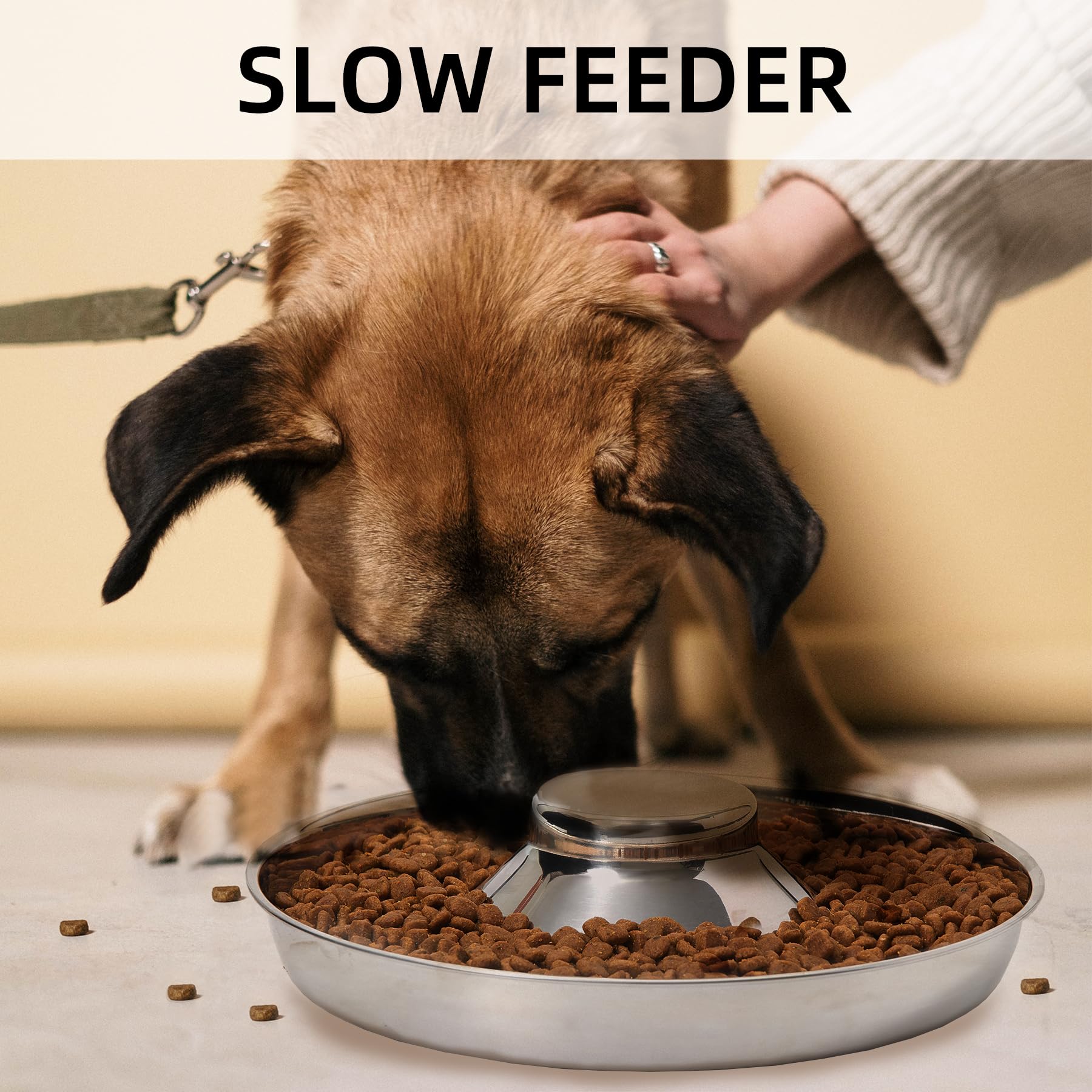 Thankspaw low-rim bowls provide quick access during puppy meals.
