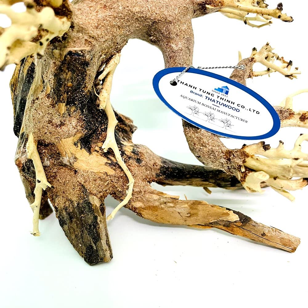 Thathuwood bonsai driftwood tree aquarium decor enhances ambiance while remaining safe for fish.