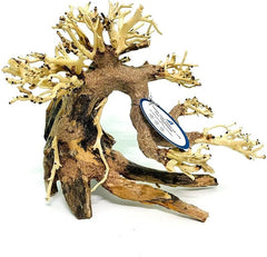 Thathuwood bonsai driftwood tree assembled showcases natural texture for aquarium decor.