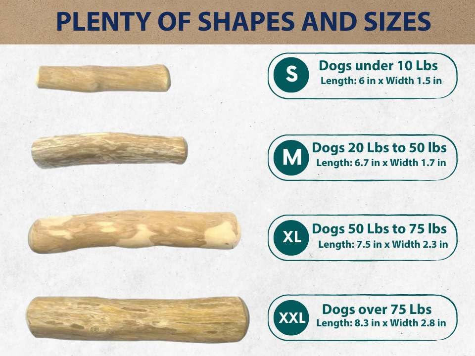 THATUWOOD Coffee Wood Dog Chew Stick in hand demonstrates portable chew toy