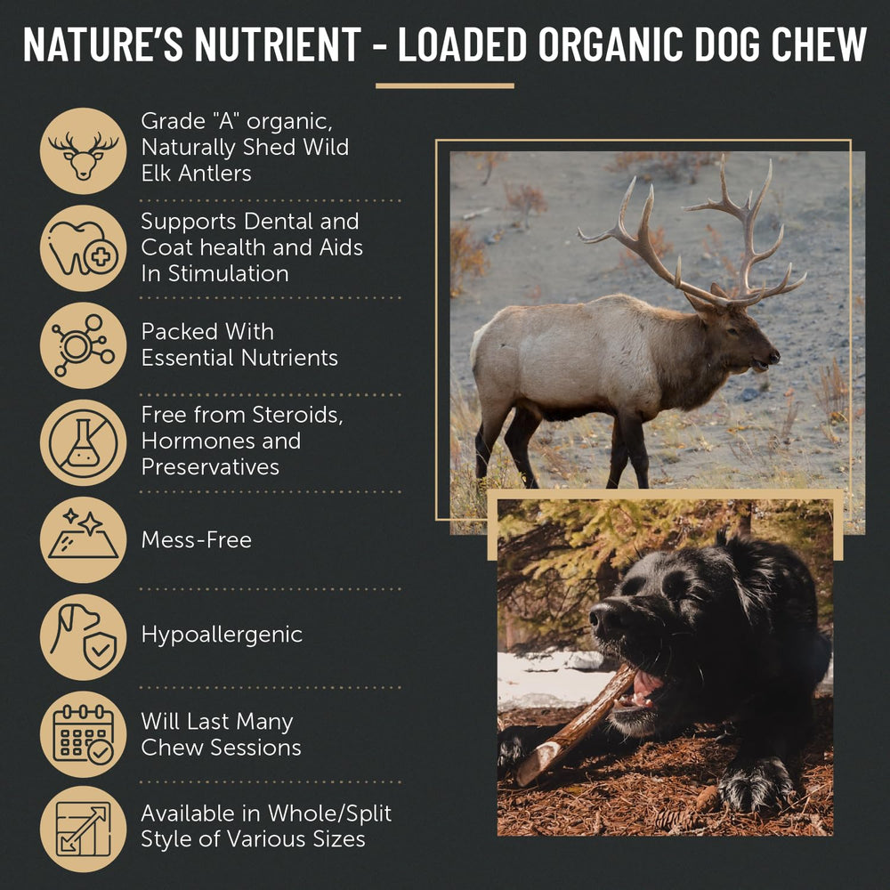 The Antler Box nutrition info closeup emphasizes minerals like calcium and phosphorus.