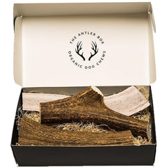 The Antler Box elk antler chews, whole and split pieces, for varied chewing sessions.