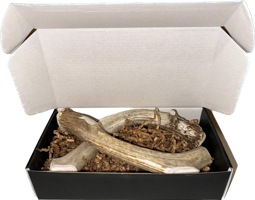 The Antler Box deer antler closeup shows natural chew texture for durable dog entertainment