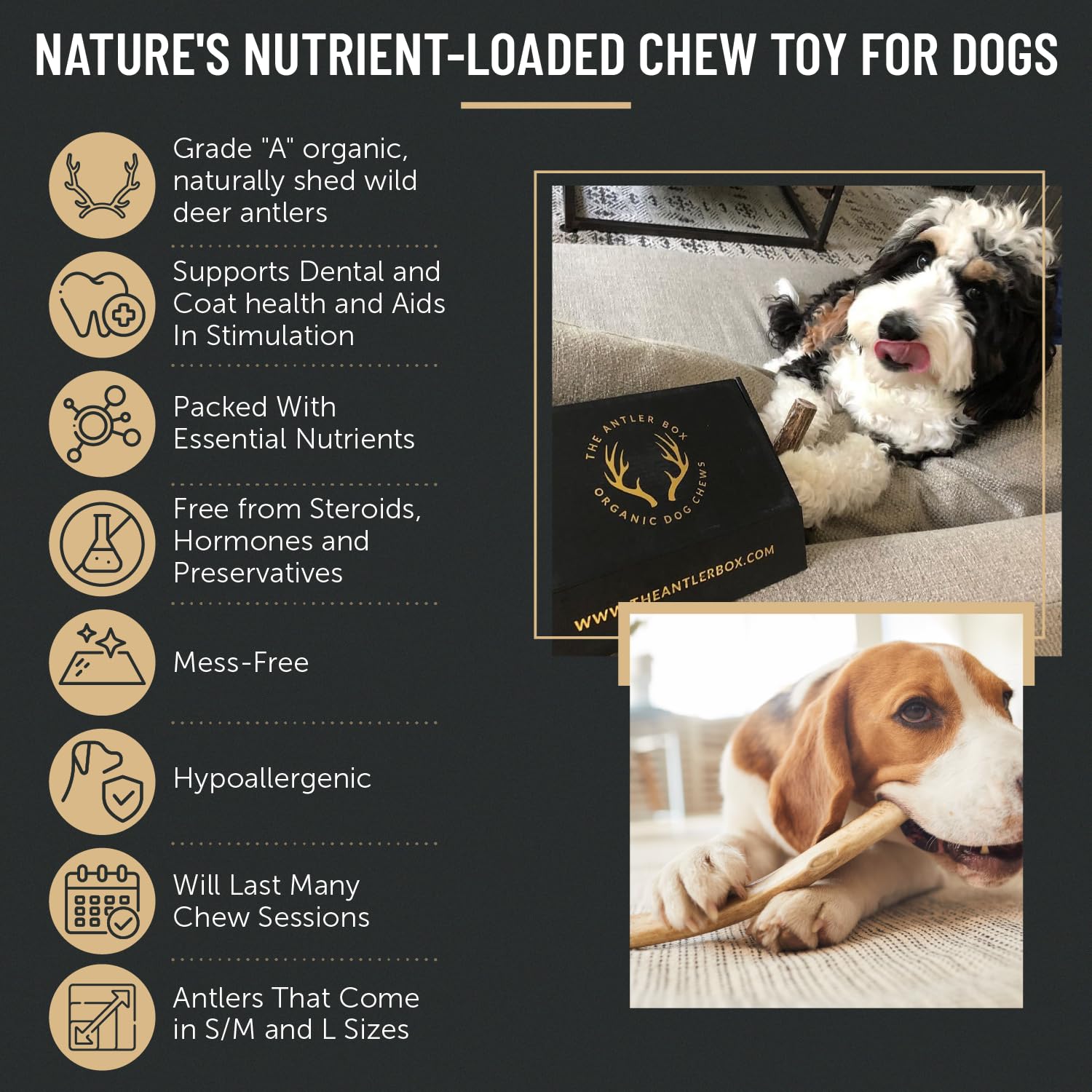 The Antler Box chews in a mess-free scene safe for rugs and furniture