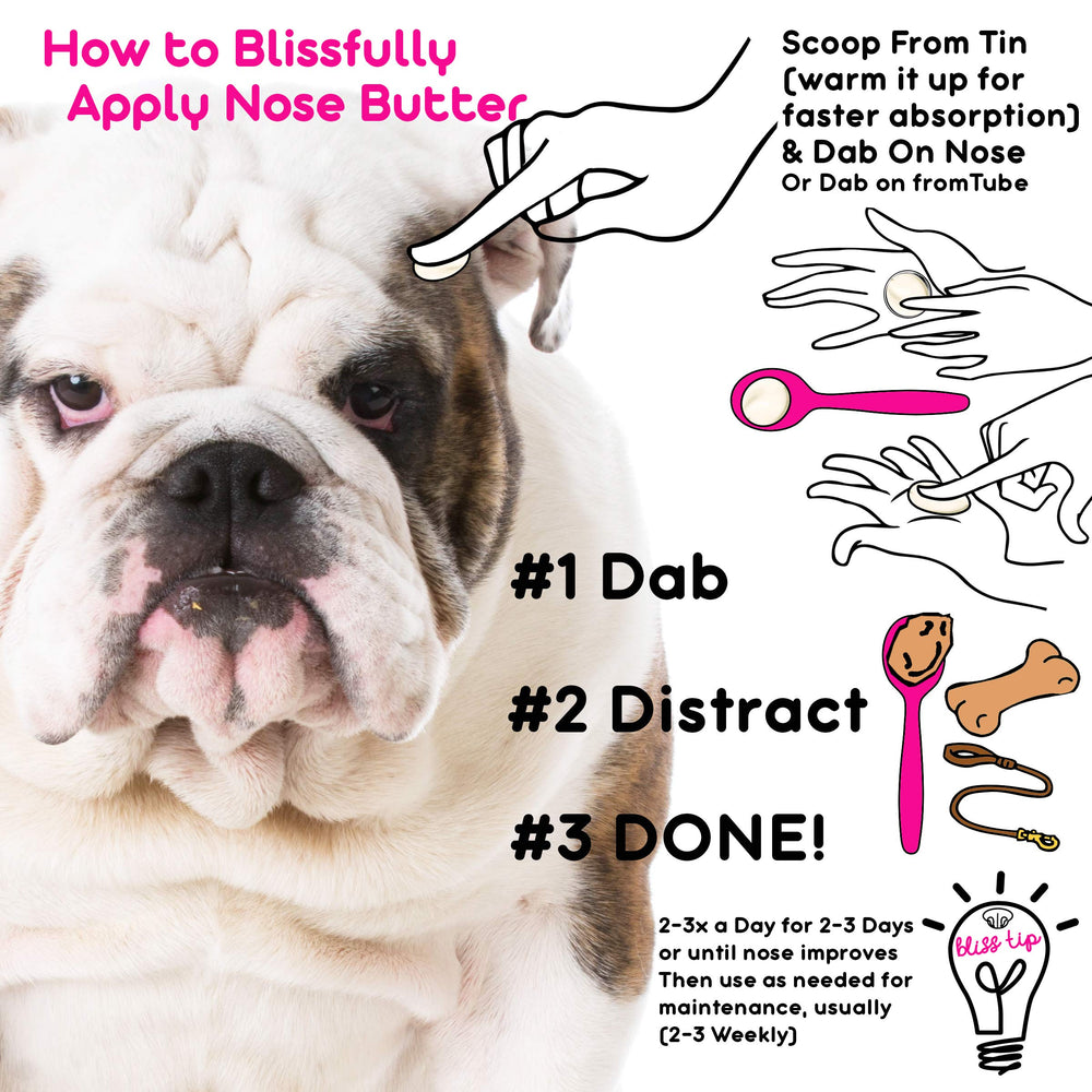 The Blissful Dog Bulldog Nose Butter ingredients highlight natural nourishers for sensitive noses.