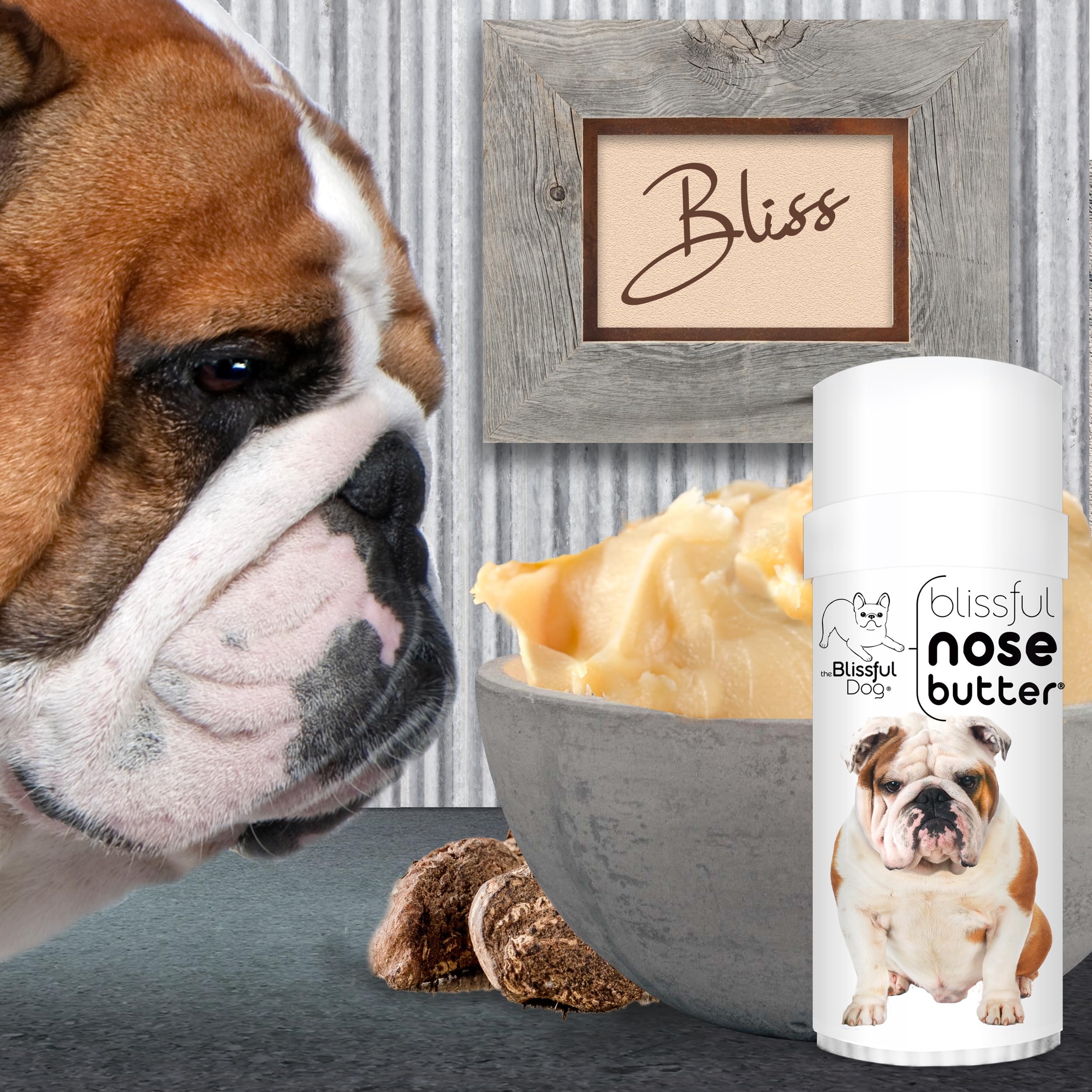 The Blissful Dog nose butter application on dog nose for easy care