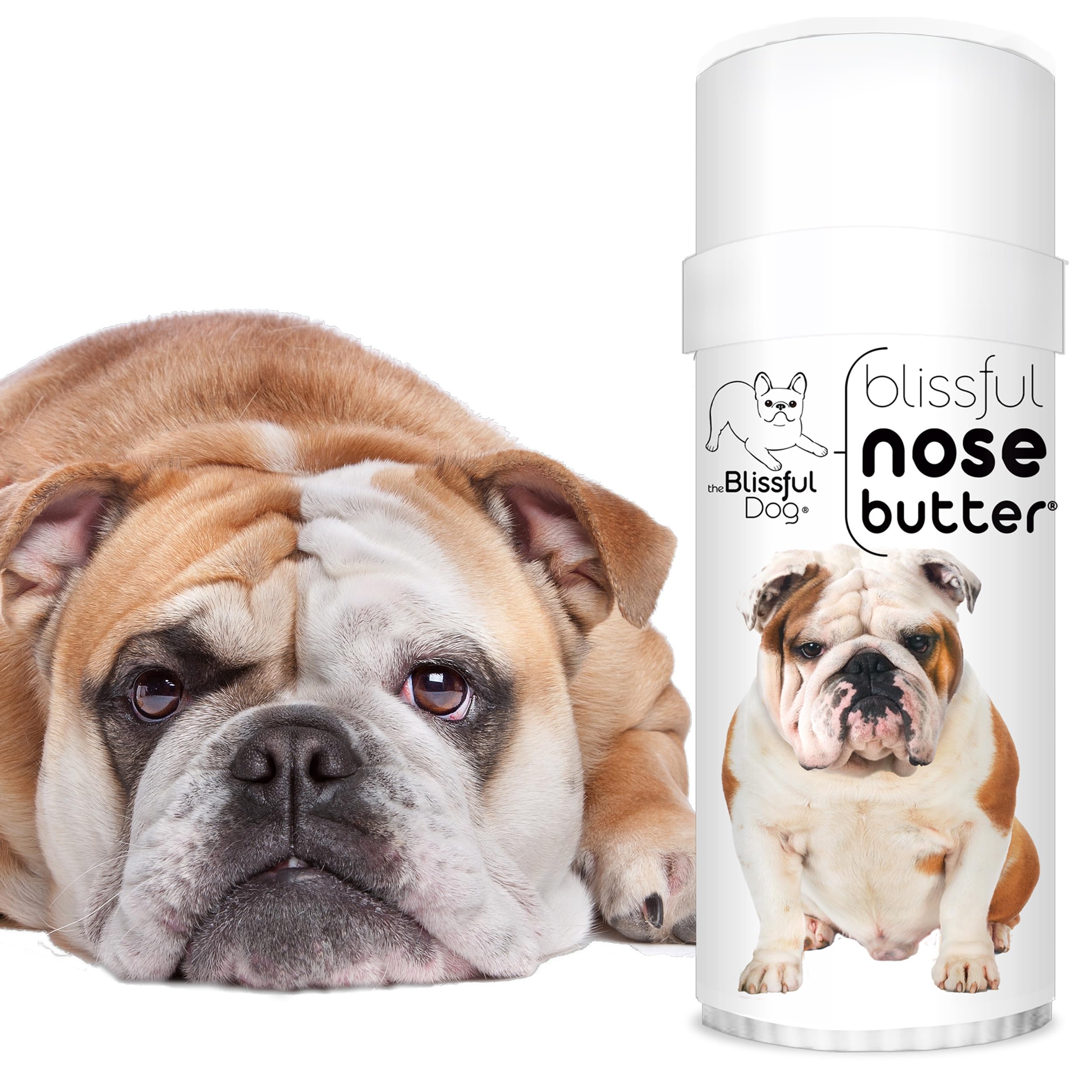 The Blissful Dog nose butter ingredients close-up highlighting nourishing oils