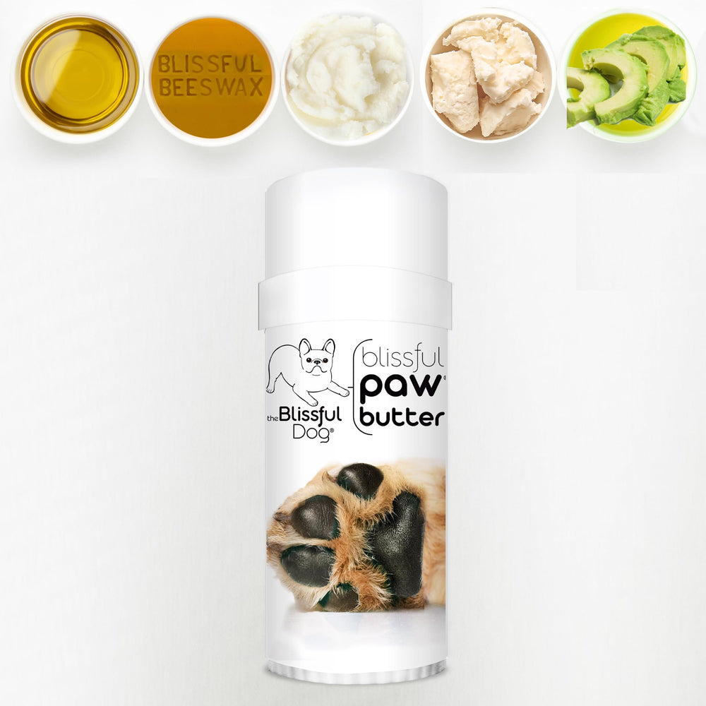 The Blissful Dog Paw Butter application scene demonstrates easy dab-and-massage for paw pads.