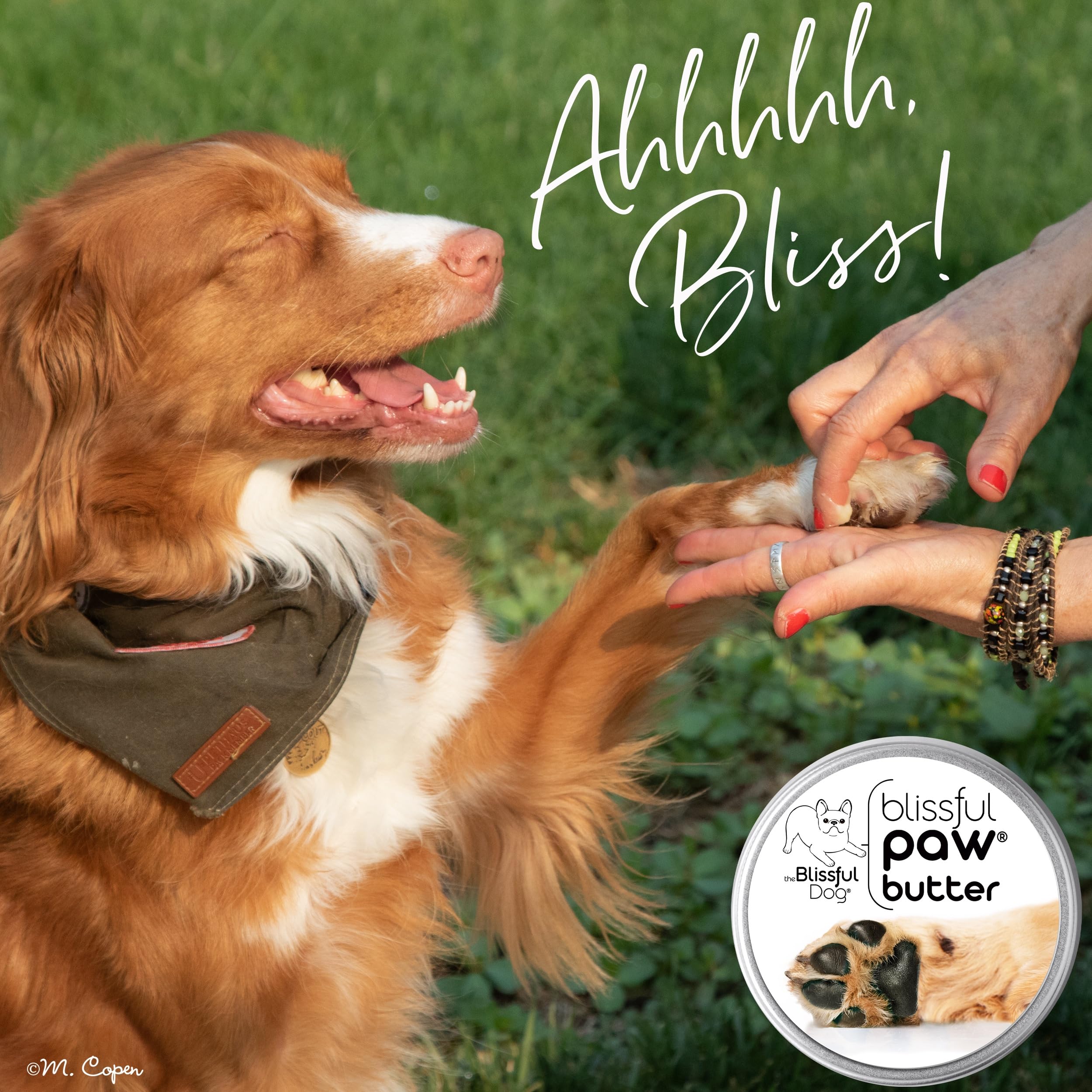 The Blissful Dog Paw Butter product shot with ingredients list for transparency.