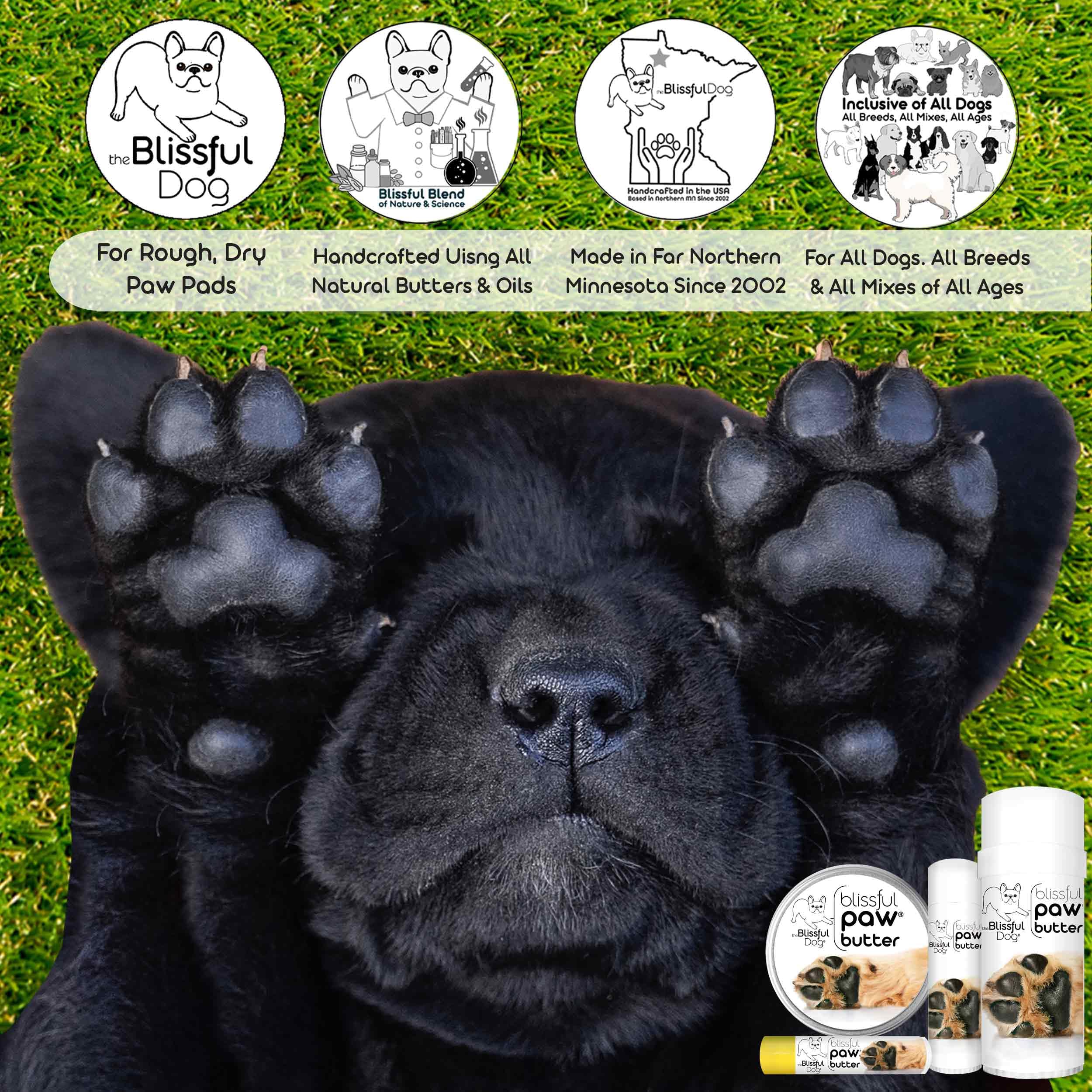 The Blissful Dog Paw Butter ingredients closeup highlights natural oils for nourished paw pads.