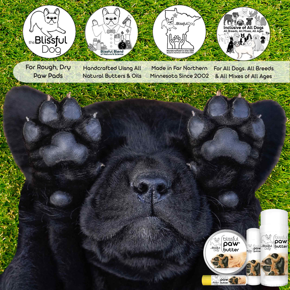 The Blissful Dog Paw Butter ingredients closeup highlights natural oils for nourished paw pads.