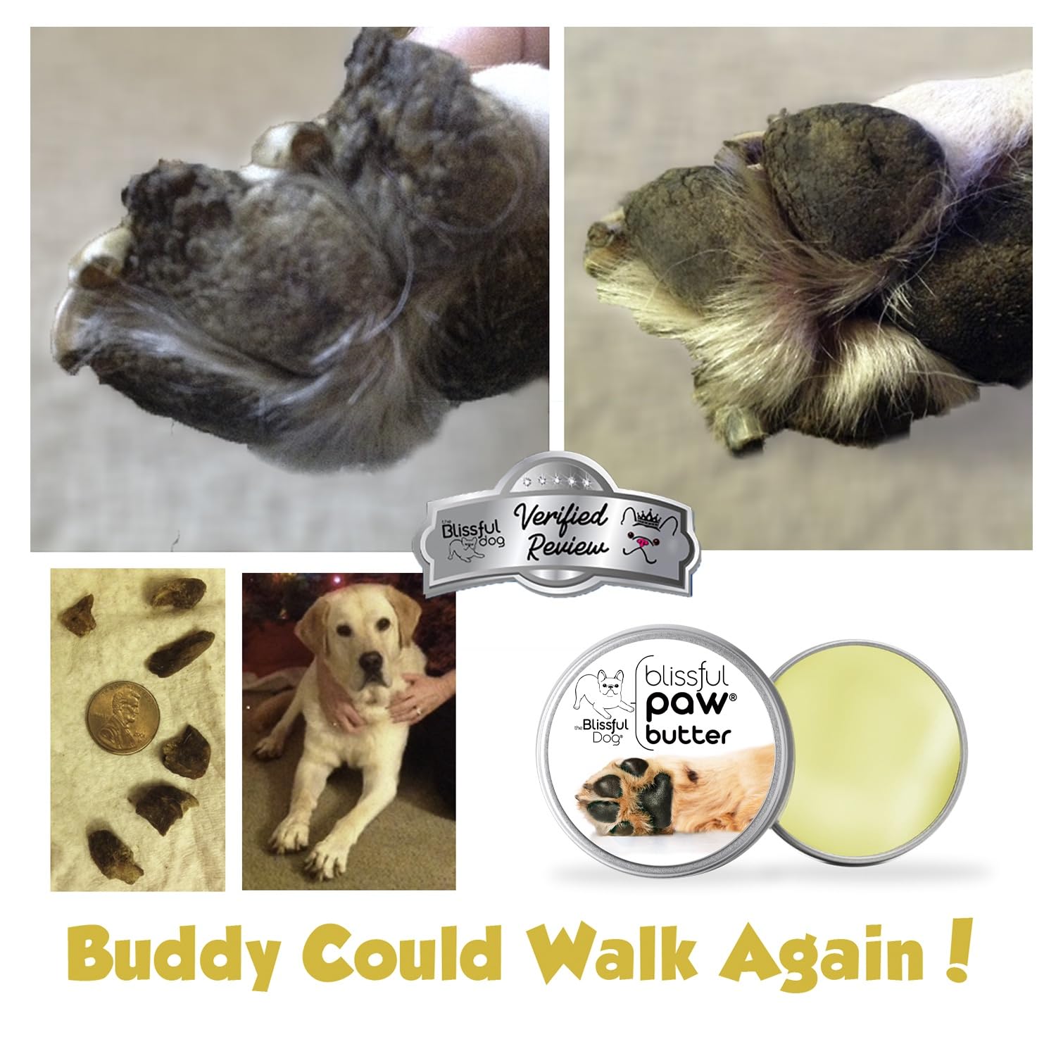 The Blissful Dog Paw Butter packaging 3oz on shelf ready for daily paw care.