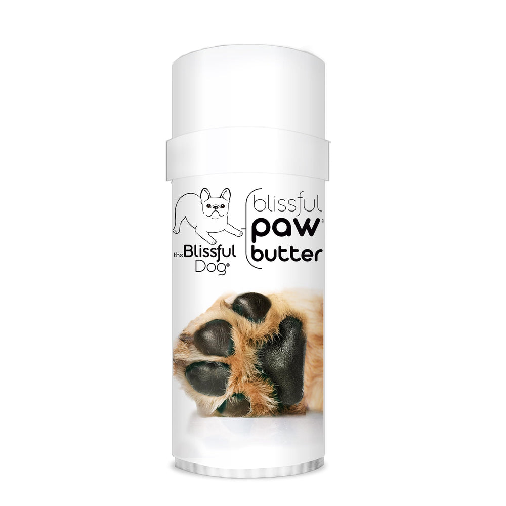 The Blissful Dog Paw Butter texture closeup showing creamy formula for quick relief on dry paws.