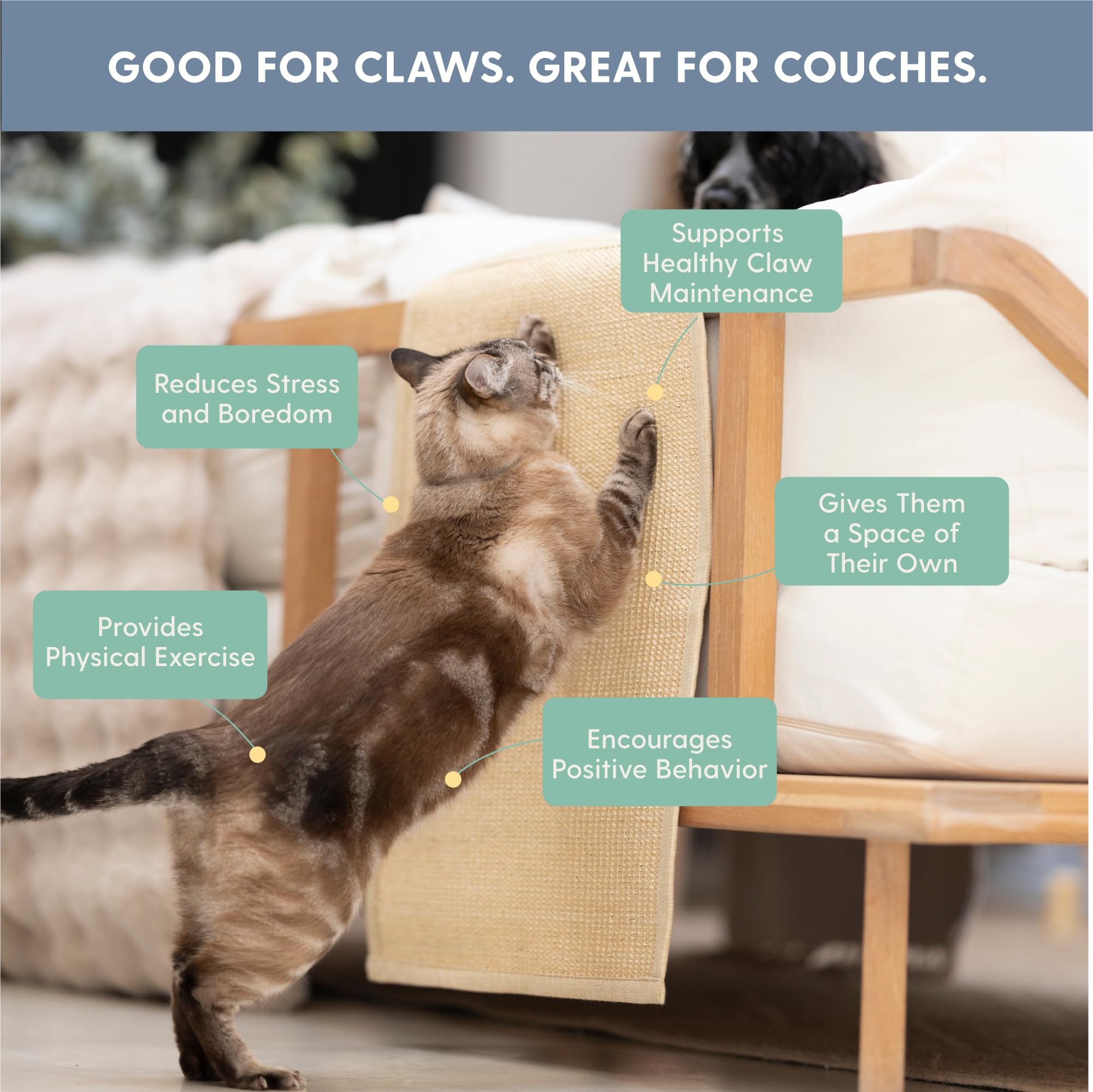 The Cat Ladies cat-scratch-deterrent-cushion-cover creates a dedicated scratching spot.