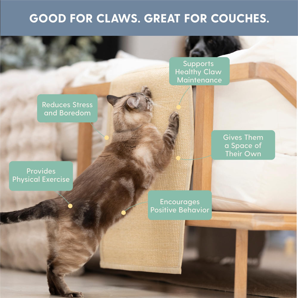 The Cat Ladies cat-scratch-deterrent-cushion-cover creates a dedicated scratching spot.